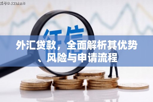 高埗外汇贷款，全面解析其优势、风险与申请流程