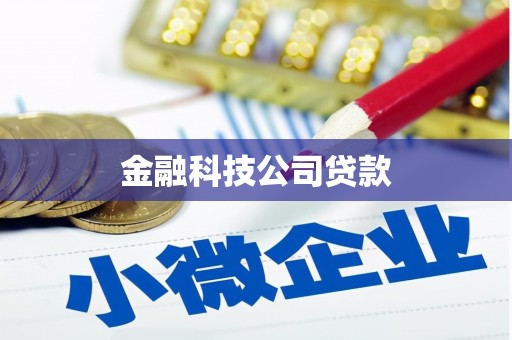高埗金融科技公司贷款
