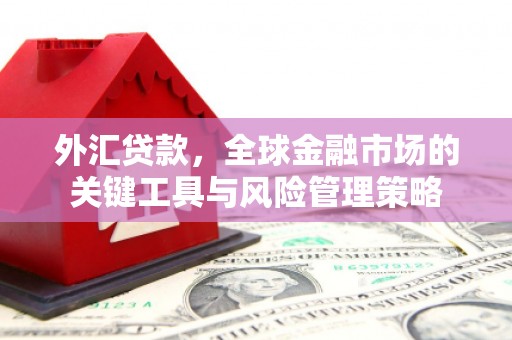 高埗外汇贷款，全球金融市场的关键工具与风险管理策略
