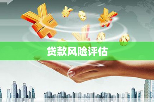 高埗贷款风险评估