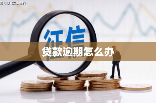高埗贷款逾期怎么办