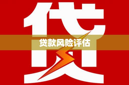 高埗贷款风险评估