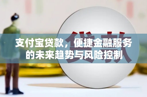 高埗支付宝贷款，便捷金融服务的未来趋势与风险控制