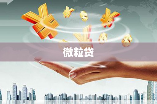 高埗微粒贷