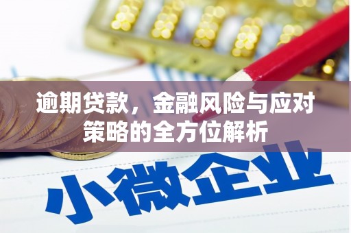 高埗逾期贷款，金融风险与应对策略的全方位解析