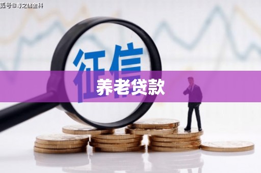 高埗养老贷款