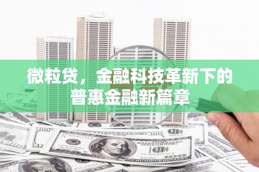 高埗微粒贷，金融科技革新下的普惠金融新篇章