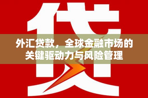 高埗外汇贷款，全球金融市场的关键驱动力与风险管理