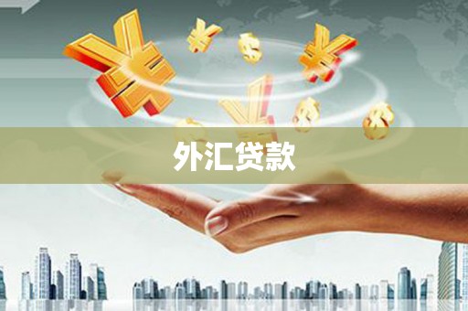 高埗外汇贷款