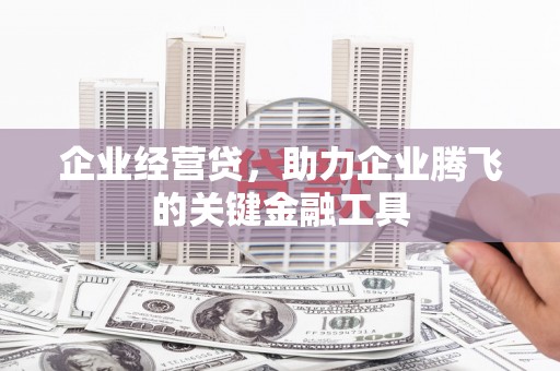 高埗企业经营贷，助力企业腾飞的关键金融工具