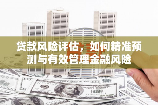 高埗贷款风险评估，如何精准预测与有效管理金融风险