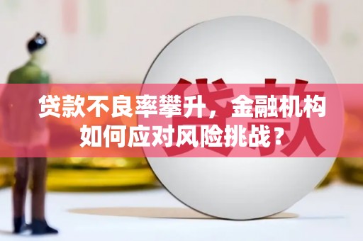 高埗贷款不良率攀升，金融机构如何应对风险挑战？
