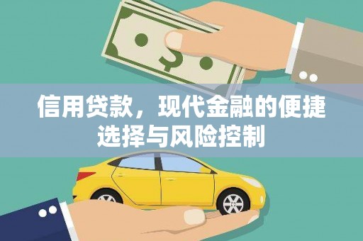 高埗信用贷款，现代金融的便捷选择与风险控制