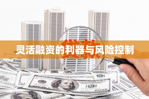 高埗灵活融资的利器与风险控制