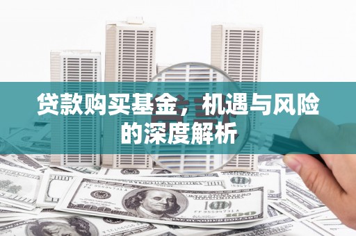 高埗贷款购买基金，机遇与风险的深度解析