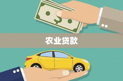 高埗农业贷款
