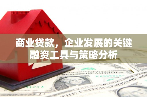 高埗商业贷款，企业发展的关键融资工具与策略分析