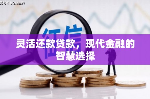 高埗灵活还款贷款，现代金融的智慧选择