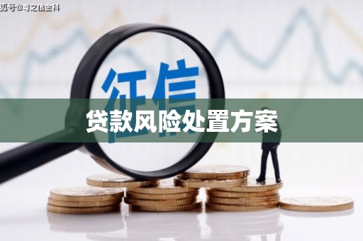 高埗贷款风险处置方案