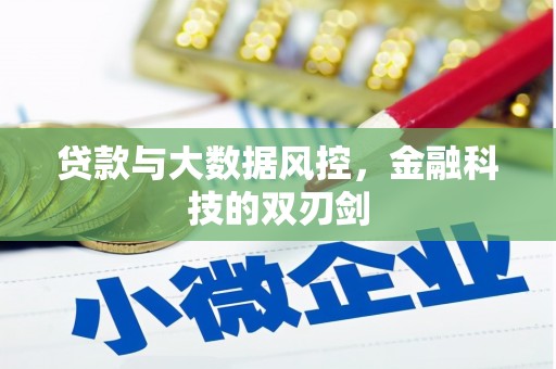 高埗贷款与大数据风控，金融科技的双刃剑
