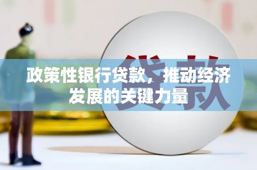 高埗政策性银行贷款，推动经济发展的关键力量