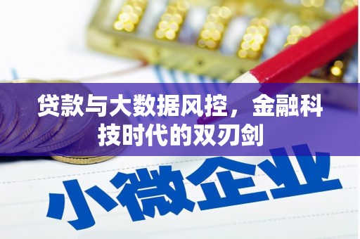 高埗贷款与大数据风控，金融科技时代的双刃剑