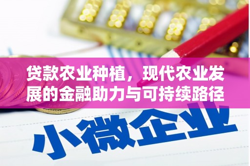 高埗贷款农业种植，现代农业发展的金融助力与可持续路径