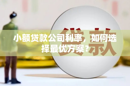 高埗小额贷款公司利率，如何选择最优方案？
