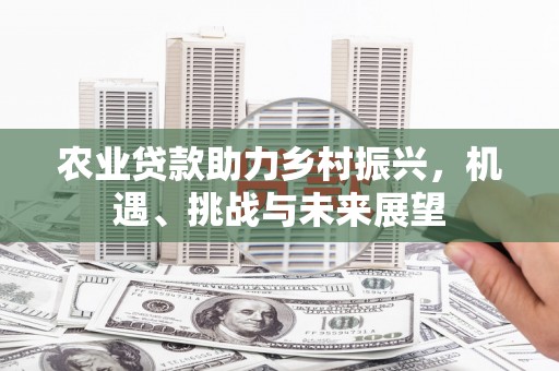 高埗农业贷款助力乡村振兴，机遇、挑战与未来展望