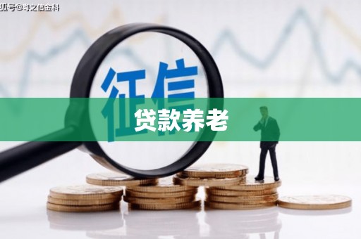 高埗贷款养老