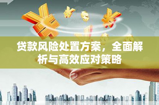 高埗贷款风险处置方案，全面解析与高效应对策略
