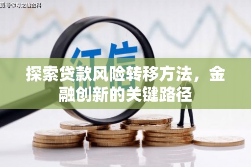 高埗探索贷款风险转移方法，金融创新的关键路径
