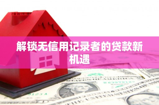 高埗解锁无信用记录者的贷款新机遇