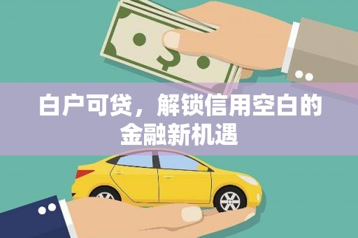 高埗白户可贷，解锁信用空白的金融新机遇