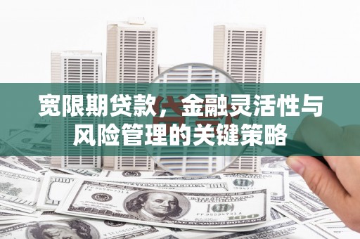 高埗宽限期贷款，金融灵活性与风险管理的关键策略