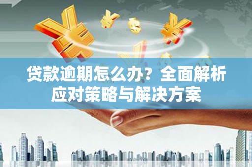 高埗贷款逾期怎么办？全面解析应对策略与解决方案