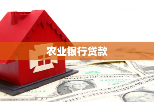 高埗农业银行贷款