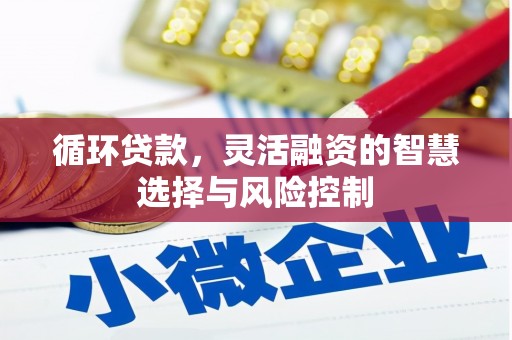 高埗循环贷款，灵活融资的智慧选择与风险控制