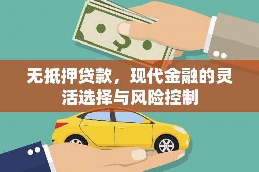 高埗无抵押贷款，现代金融的灵活选择与风险控制