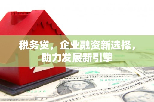 高埗税务贷，企业融资新选择，助力发展新引擎