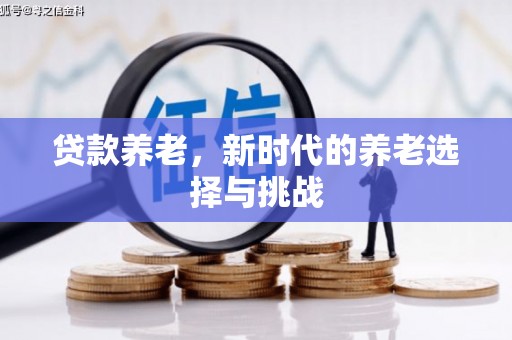 高埗贷款养老，新时代的养老选择与挑战