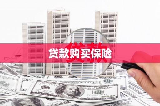 高埗贷款购买保险