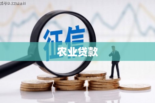 高埗农业贷款
