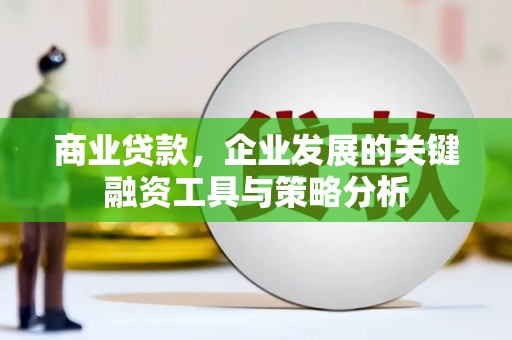 高埗商业贷款，企业发展的关键融资工具与策略分析