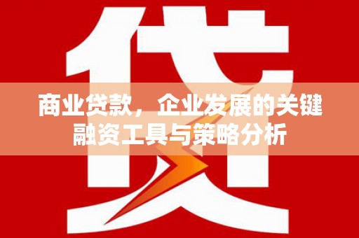 高埗商业贷款，企业发展的关键融资工具与策略分析