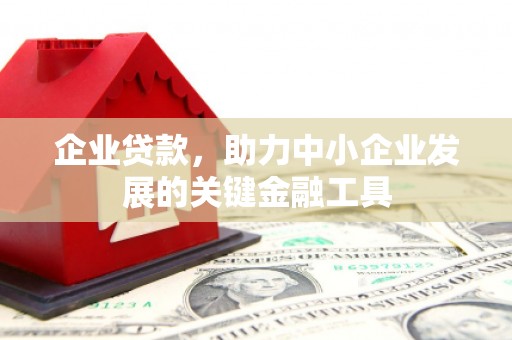 高埗企业贷款，助力中小企业发展的关键金融工具