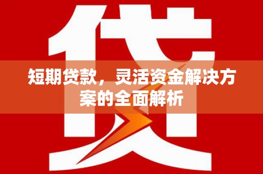 高埗短期贷款，灵活资金解决方案的全面解析