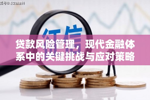 高埗贷款风险管理，现代金融体系中的关键挑战与应对策略