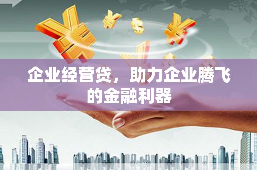 高埗企业经营贷，助力企业腾飞的金融利器