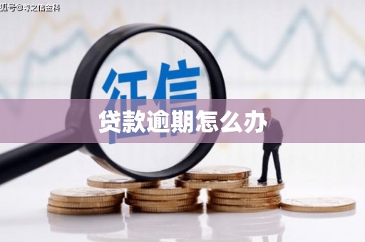 高埗贷款逾期怎么办